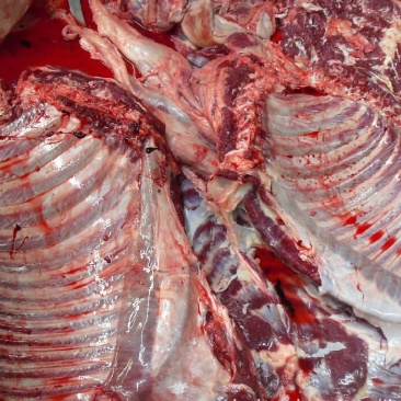 驴肉鲜货
