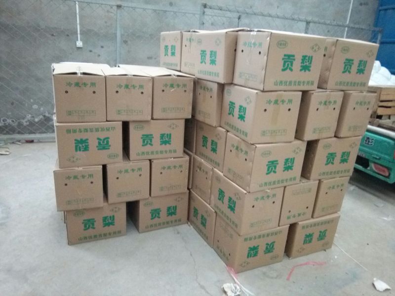 酥梨550~600g纸袋