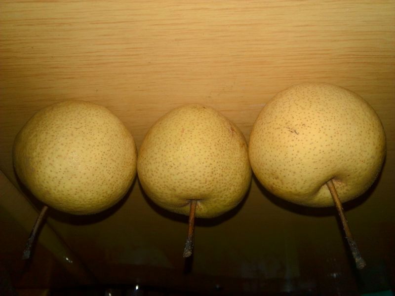 酸梨150~200g筐装