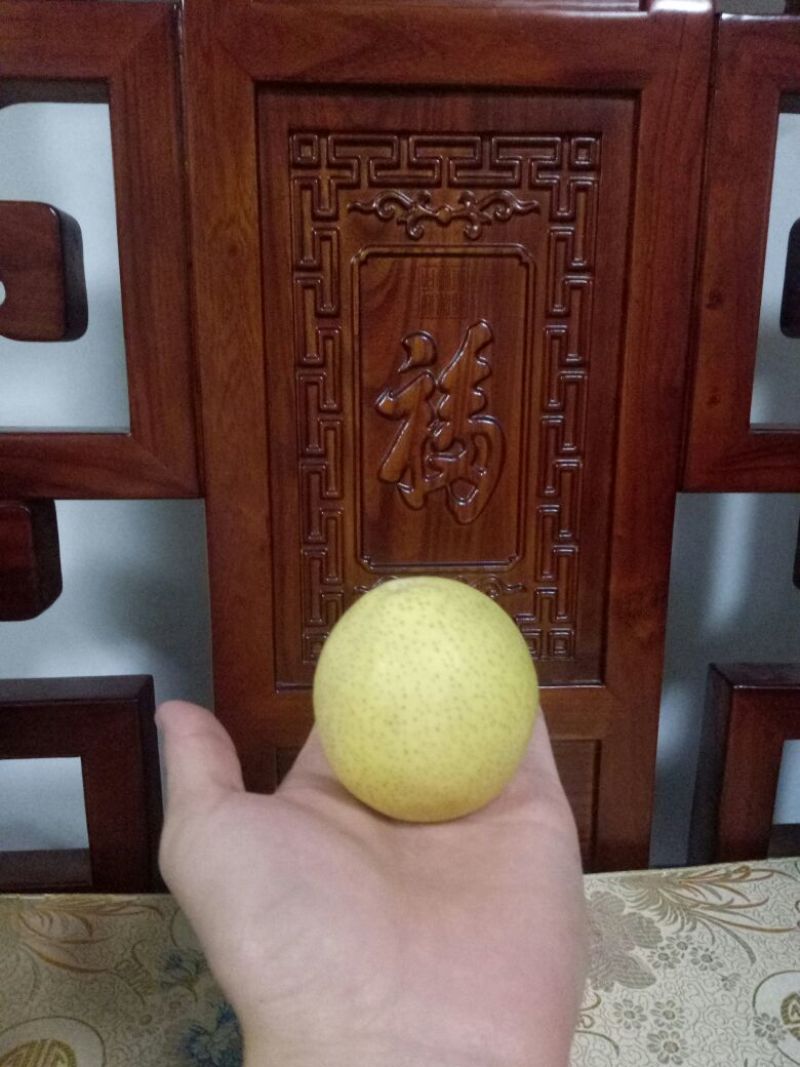 京白梨100~150g纸箱
