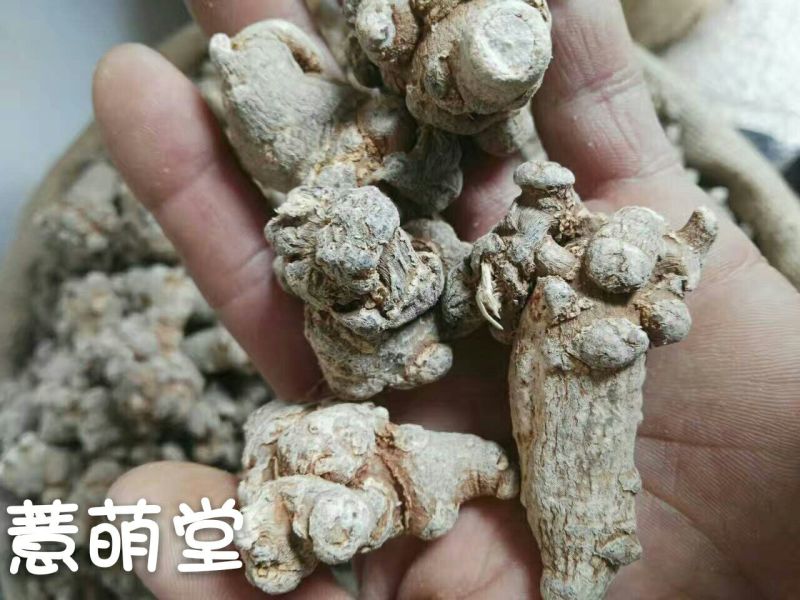三七40头选货