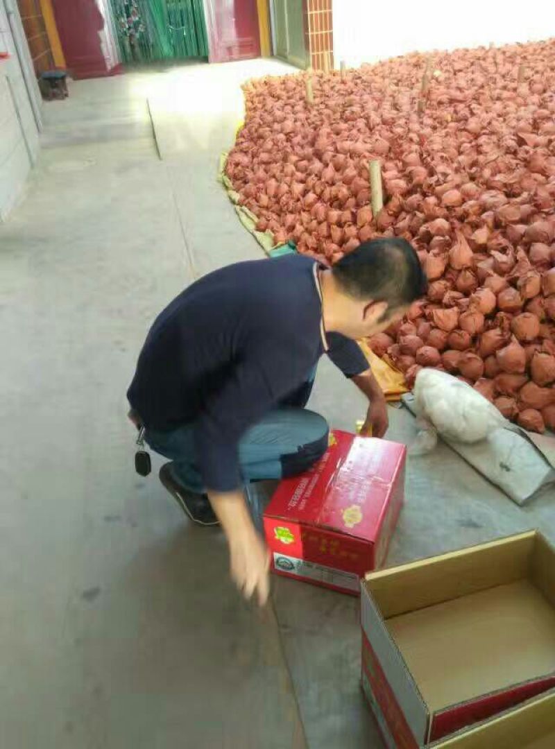 酥梨150~200g纸袋