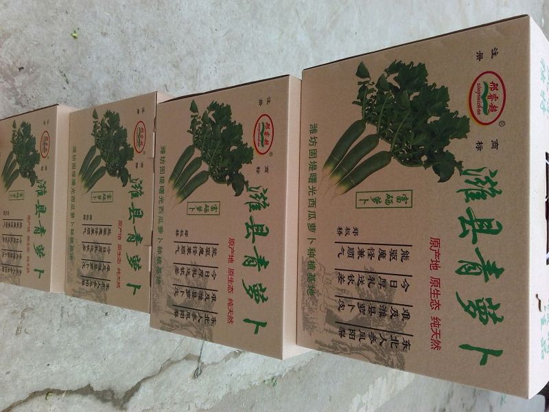 潍县青萝卜1~1.5斤起