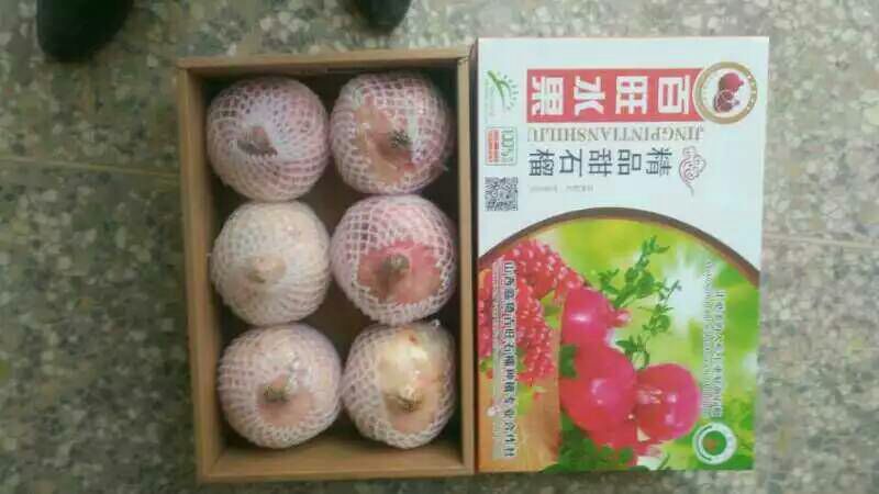 石榴