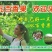 紫香一号紫果70~80g