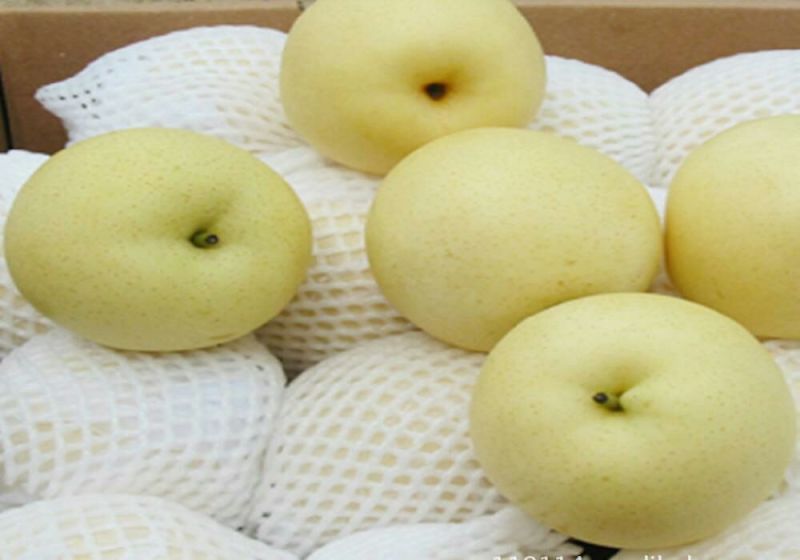 皇冠梨250~300g纸箱