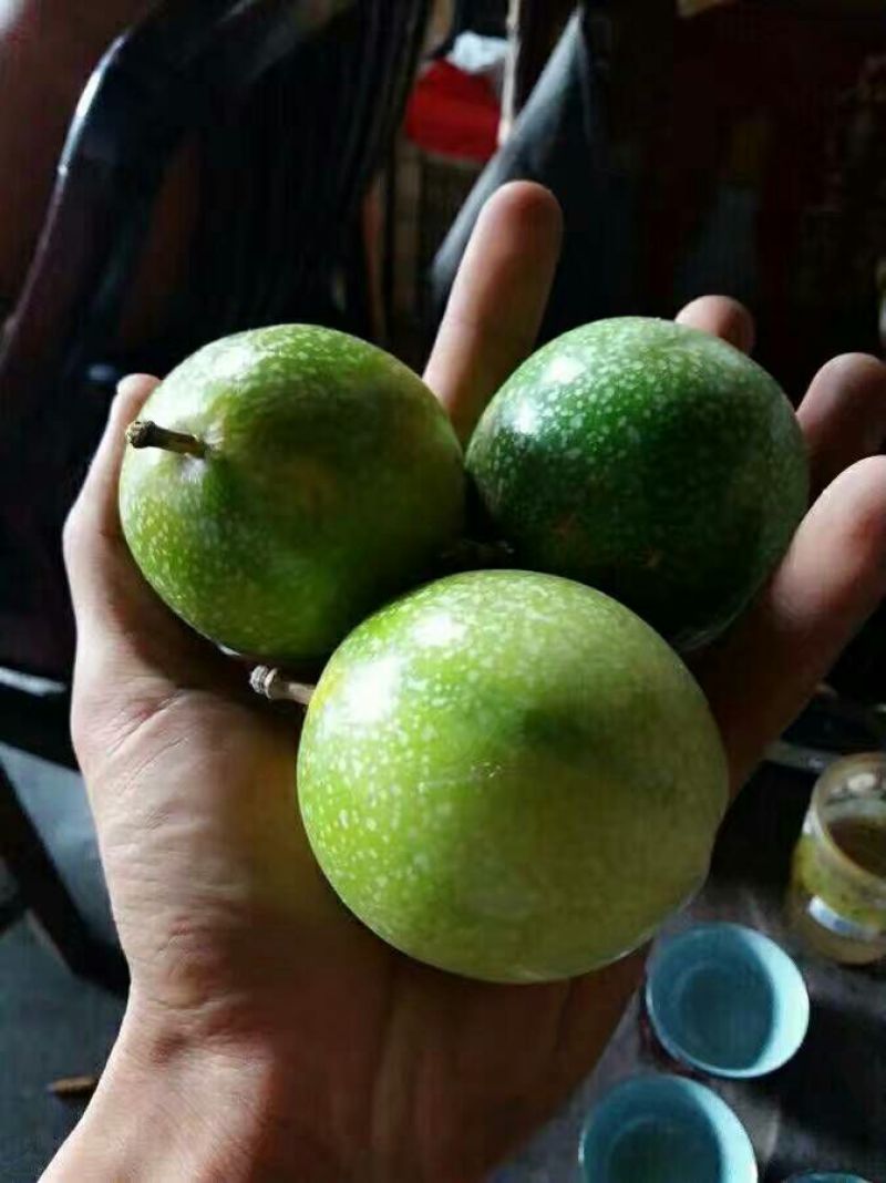 百香果黄果60~70g