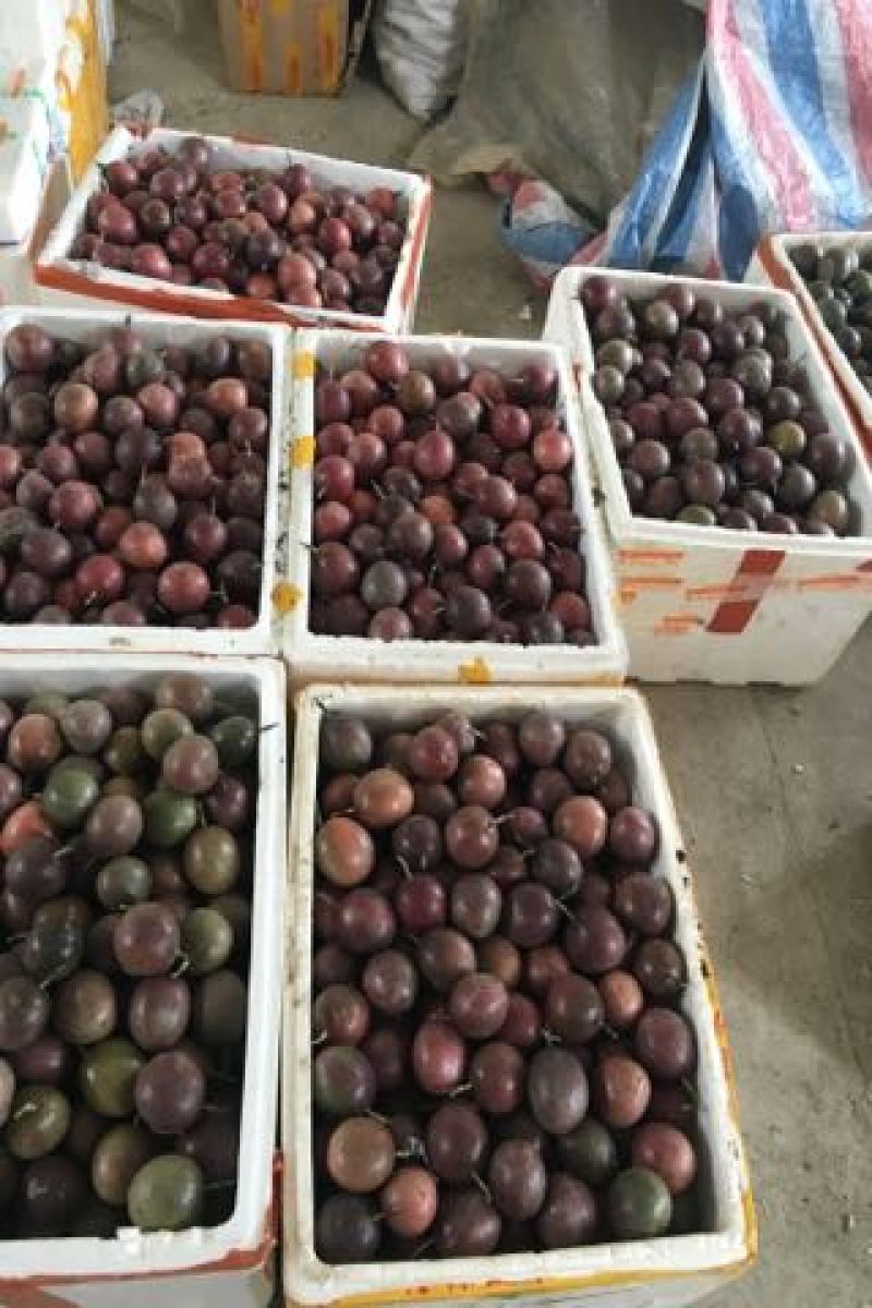 百香果