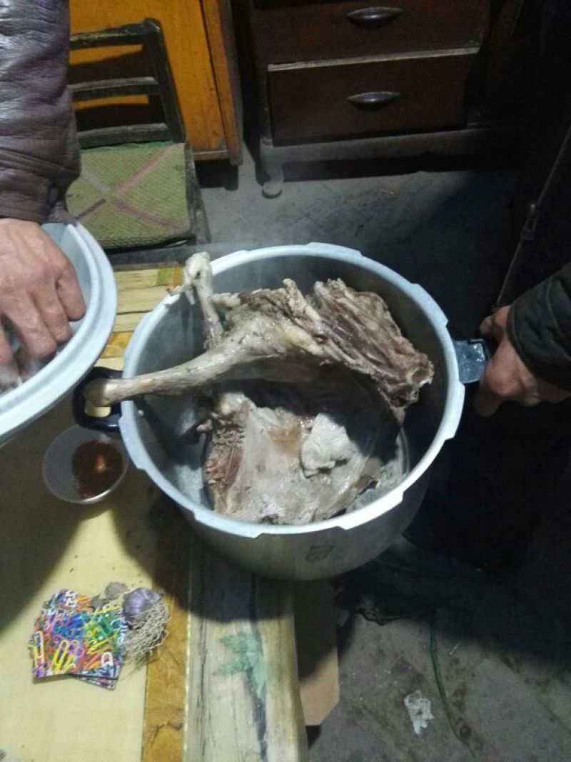 藏绵羊，青海欧拉羊，阉公，淘汰公羊，淘汰母羊屠宰养殖母羊