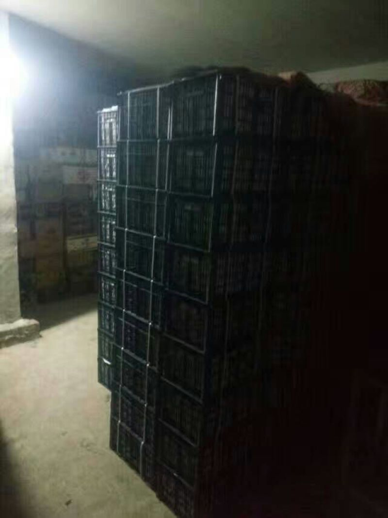 南果梨60~100g筐装