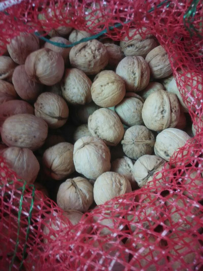 纸皮核桃去皮