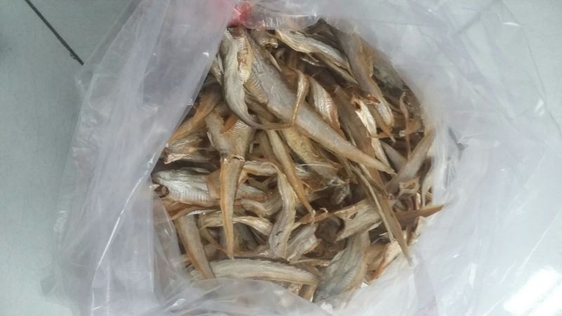 鱼干日晒鱼干