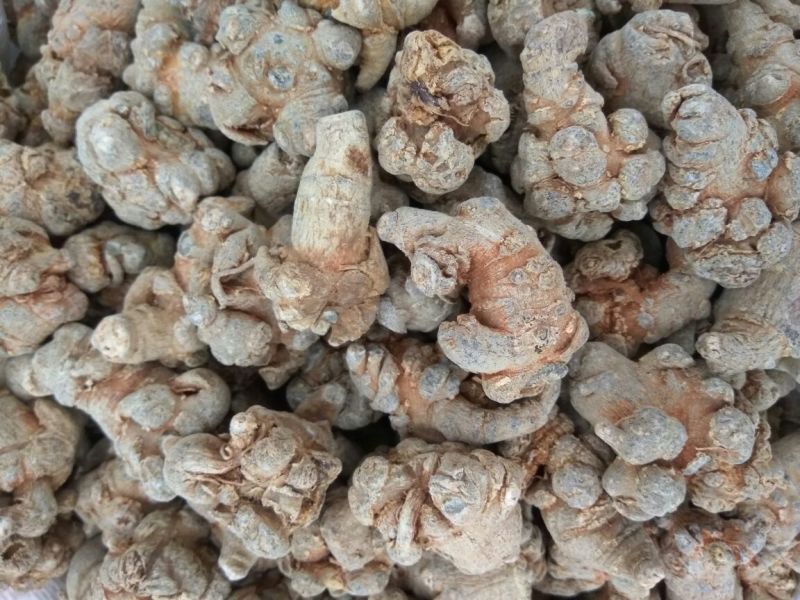 三七各种规格新货各种药材新货大量现货