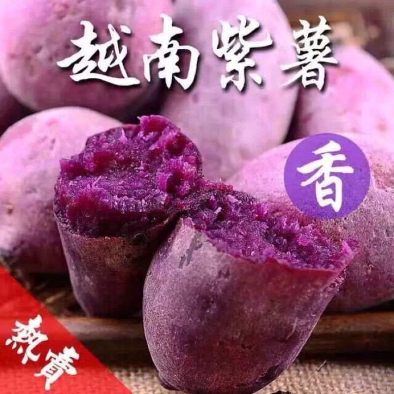 紫薯