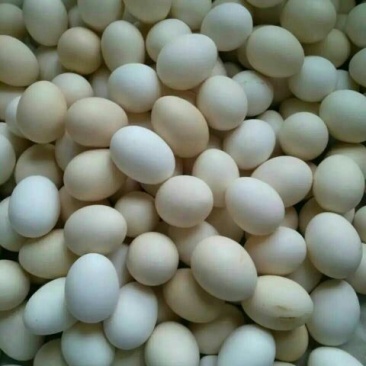 绿壳鸡蛋食用50g以下