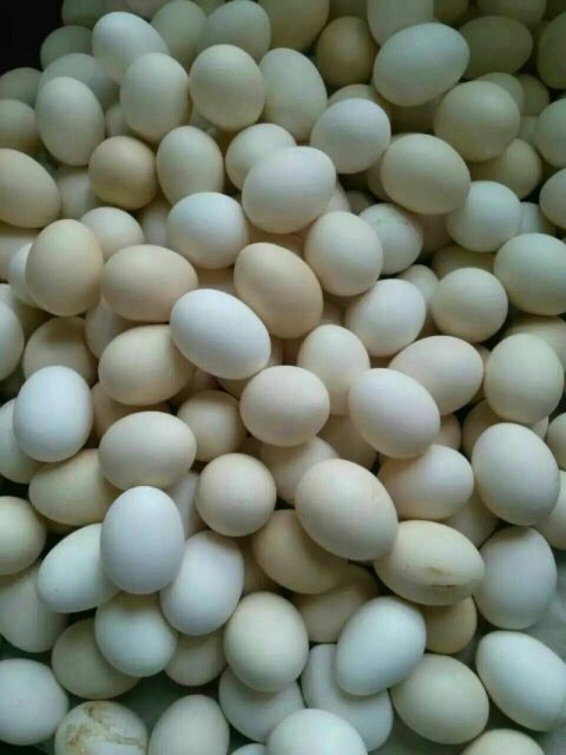 绿壳鸡蛋食用50g以下