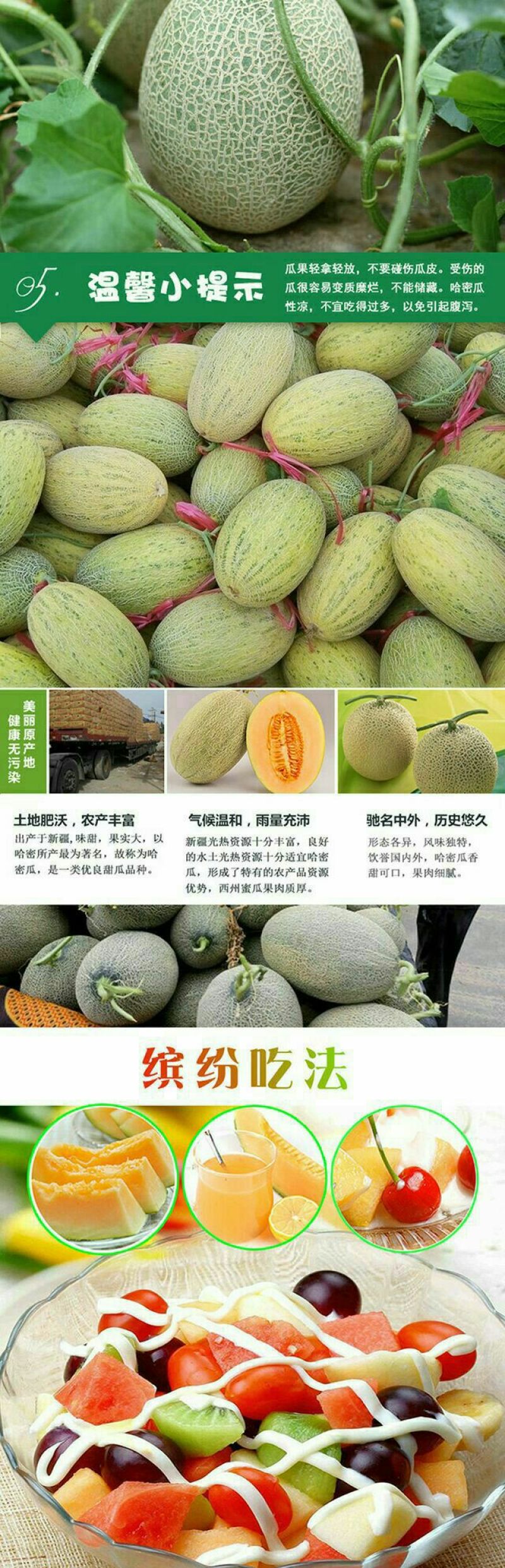 西州蜜瓜5斤以上椭圆形