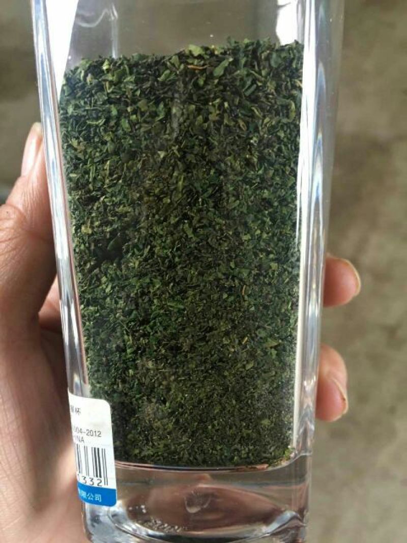 种苗