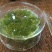三七花无柄