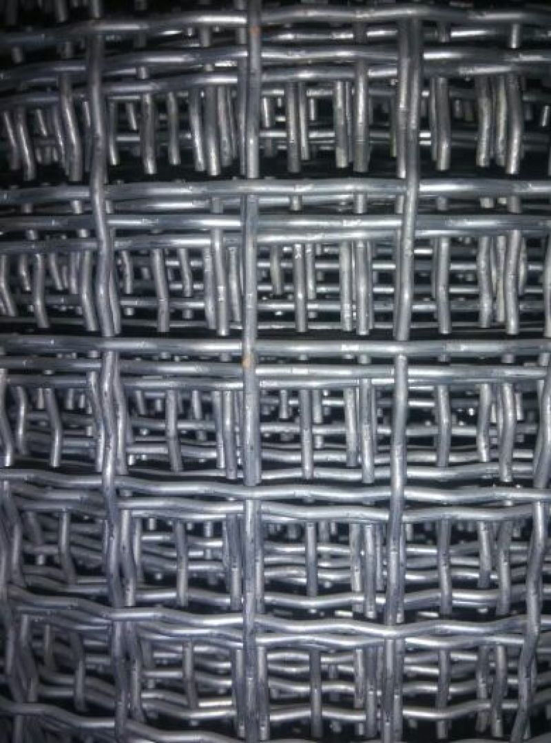 荷兰网50*50mm