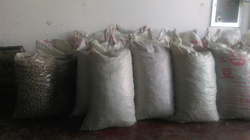 小泡核桃去皮干