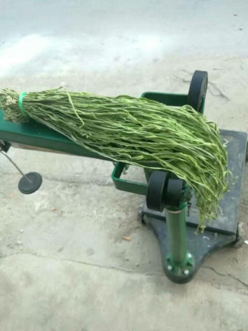 云南贡菜干响菜产地直供货源充足品质保证