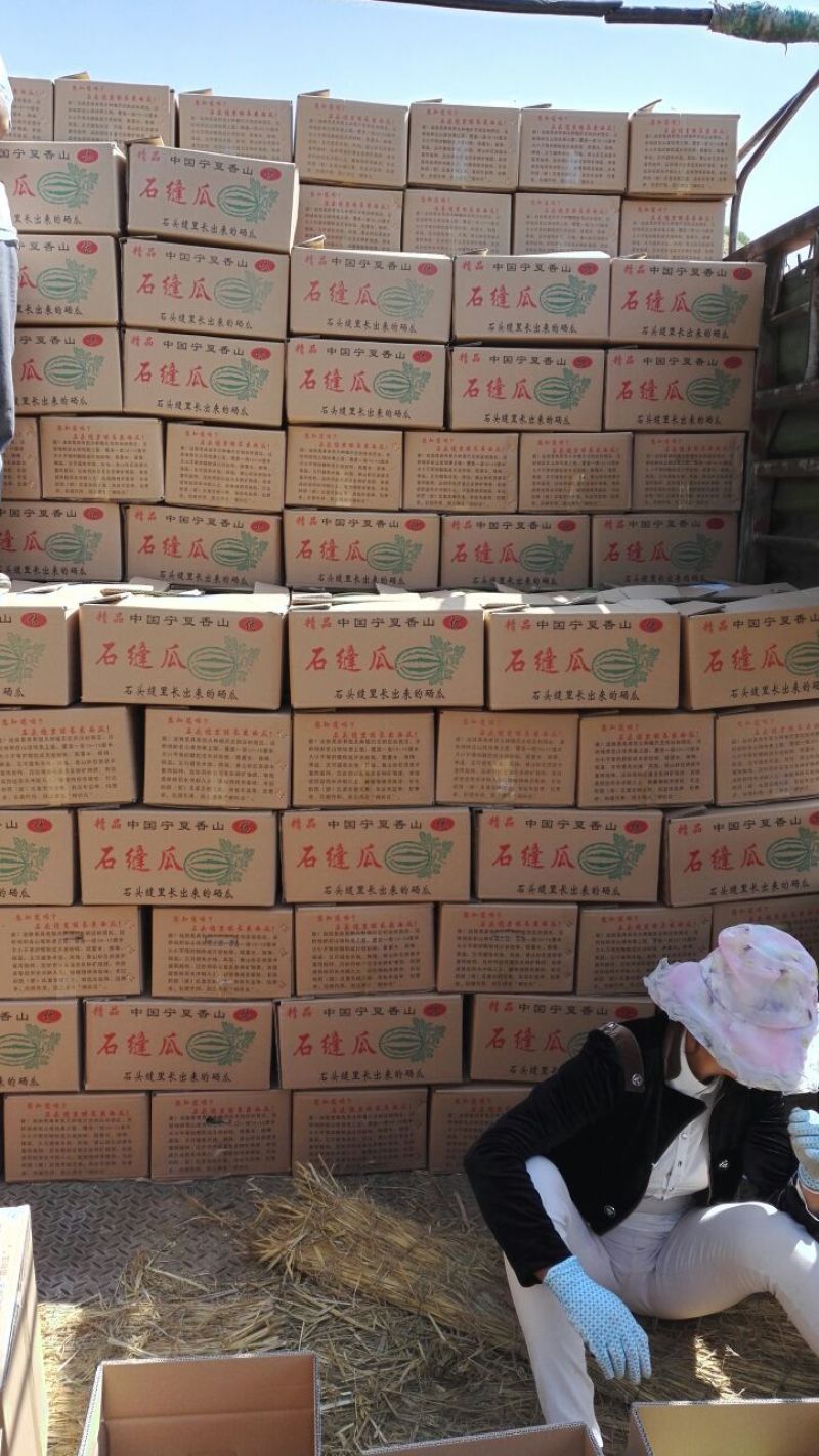 金花1号、金城5号