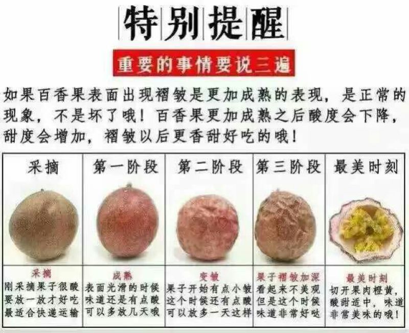 百香果紫果40~50g