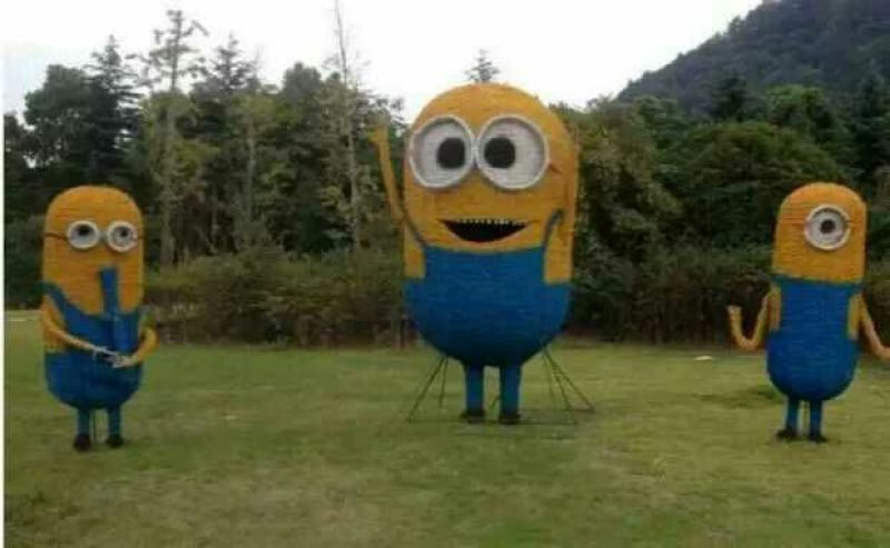 稻草