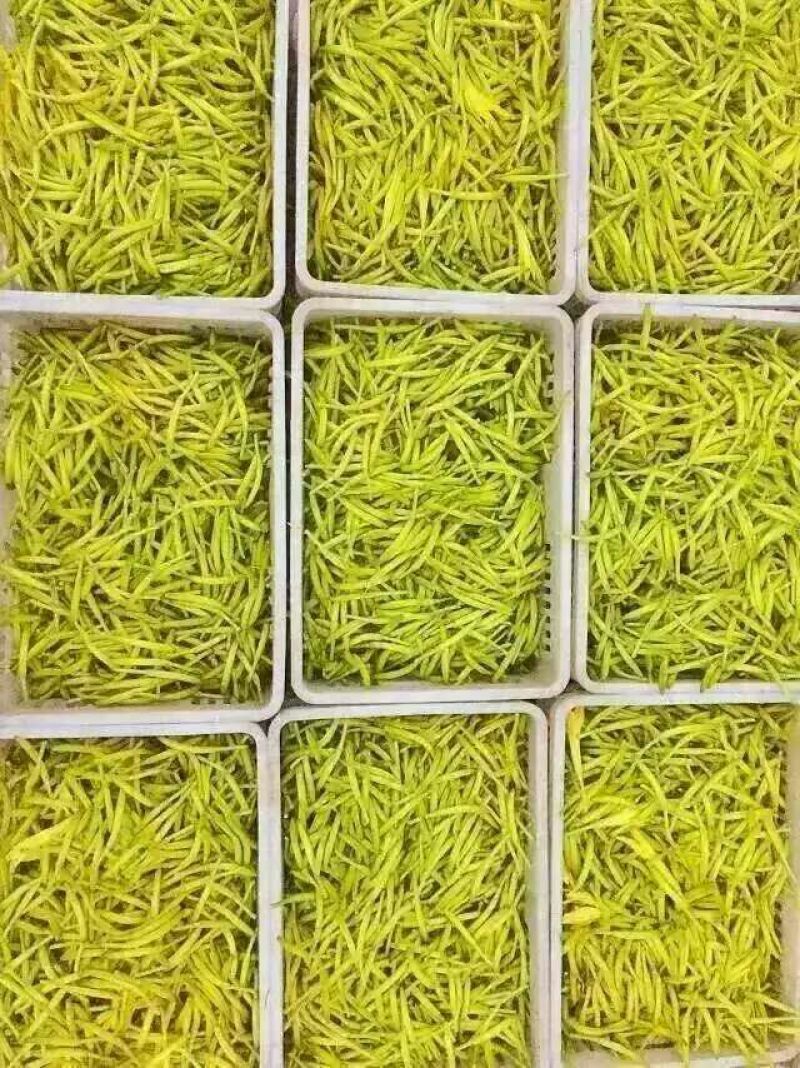 黄花菜金针菜产地直供万亩菜地大量有货，干湿同收散装一级