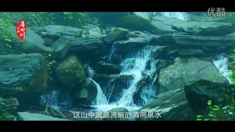 雅鱼食用7两