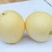 皇冠梨300~350g纸箱