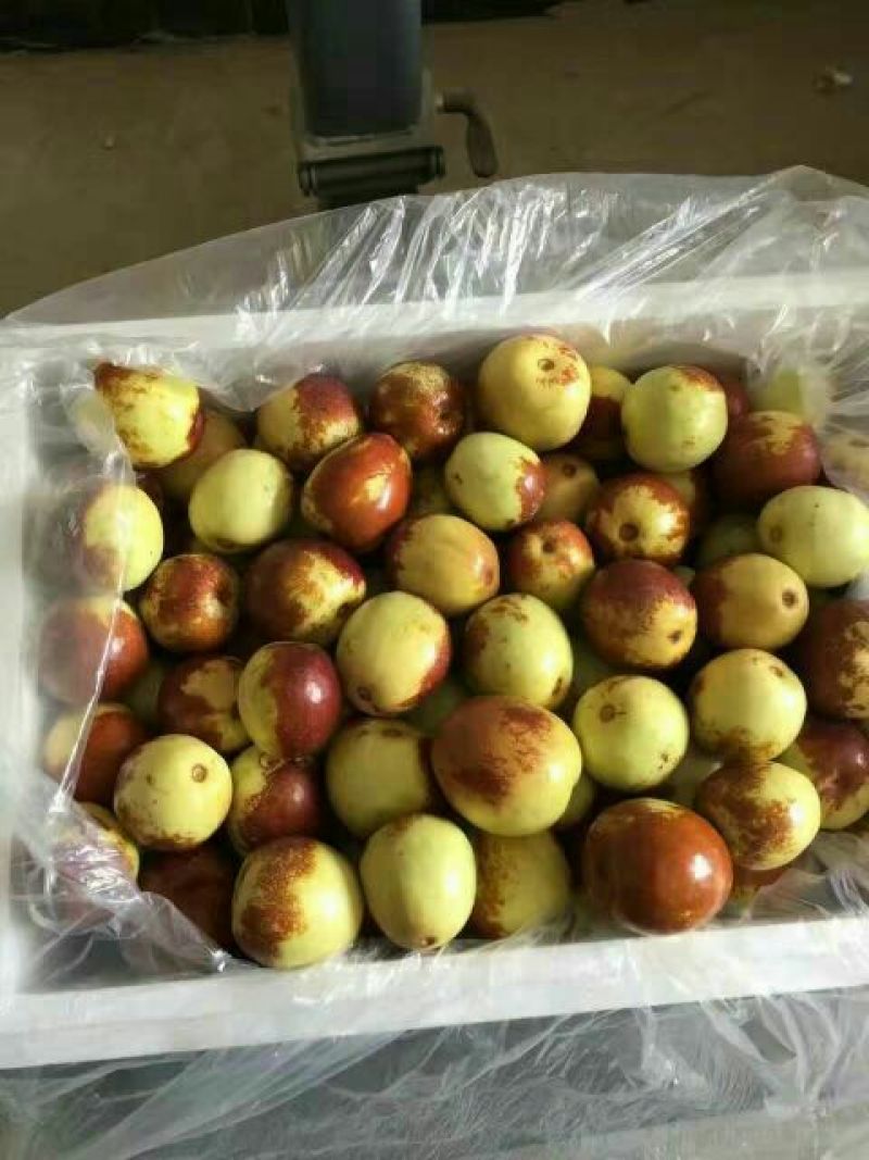 梨枣