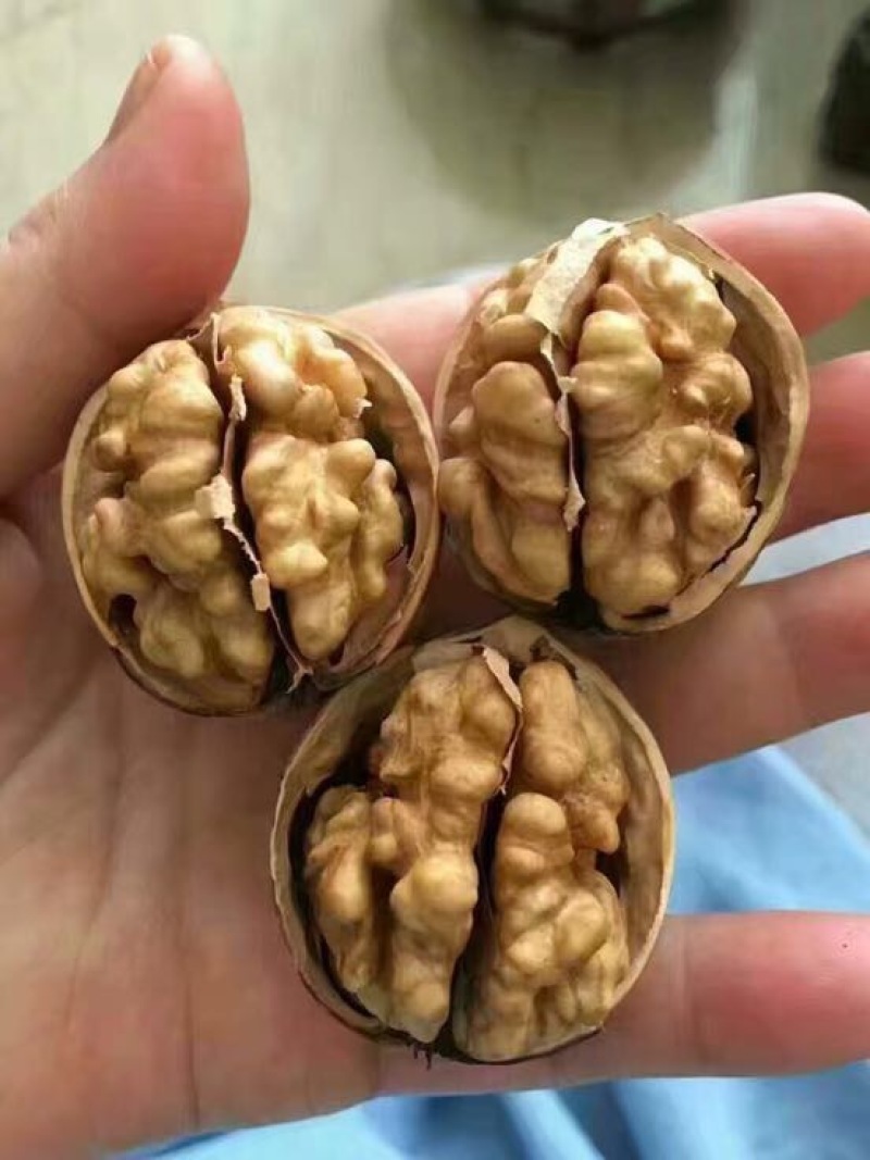 新疆185核桃