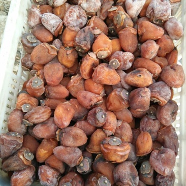 柿饼1两以下