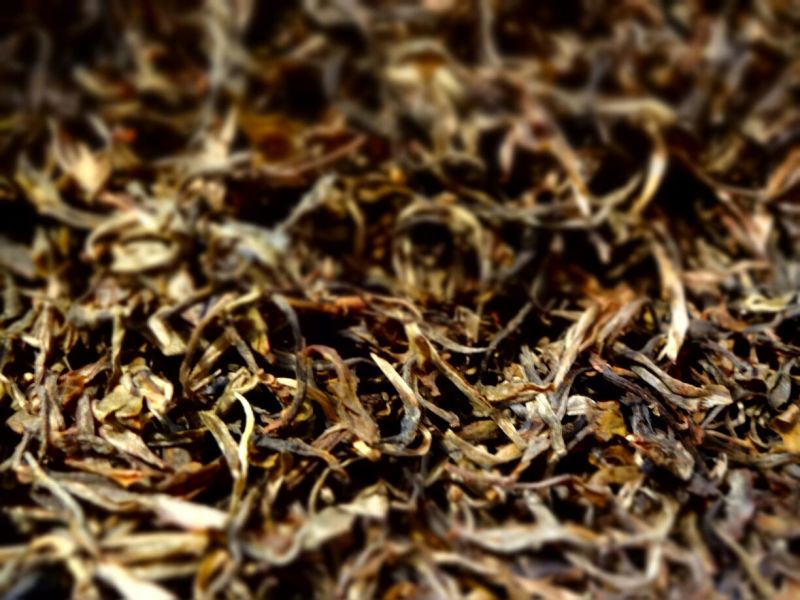 百年大树茶一级