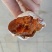 柿饼1两以下