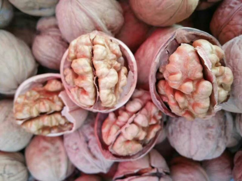 纸皮核桃25mm以下去皮干