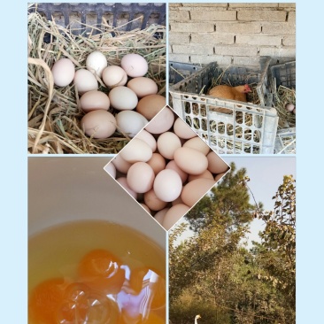 土鸡蛋食用50~60g