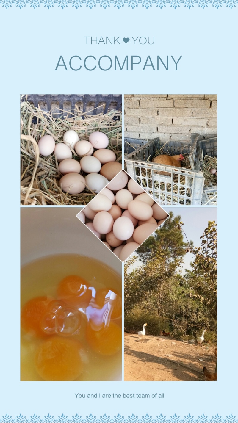 土鸡蛋食用50g以下