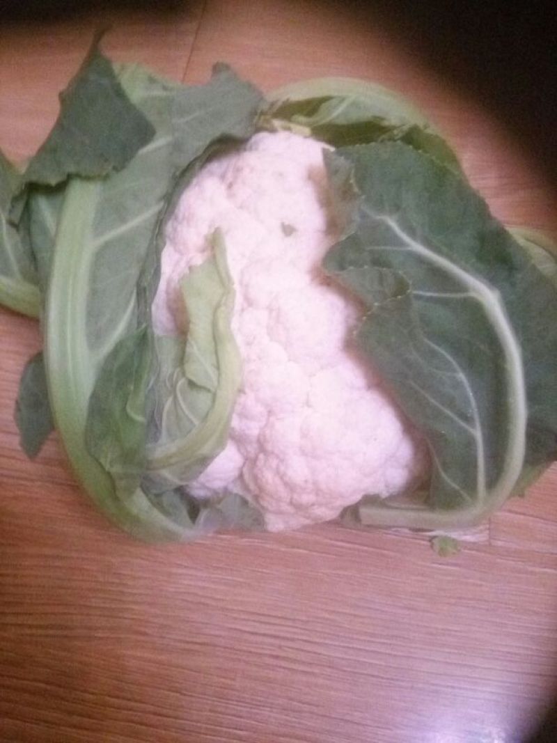 白花菜散装