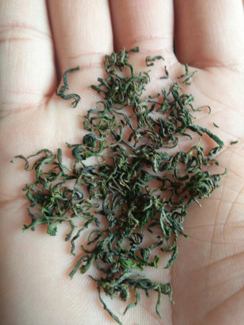 本山茶一级