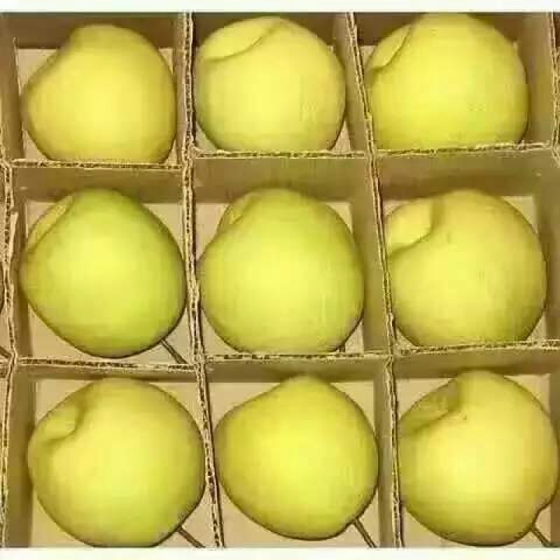 酥梨350~400g纸箱