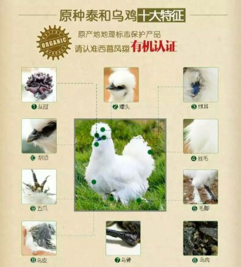 乌鸡蛋食用50g以下