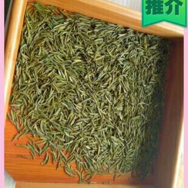 石阡苔茶特级