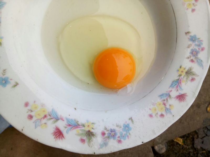 绿壳鸡蛋食用40~50g