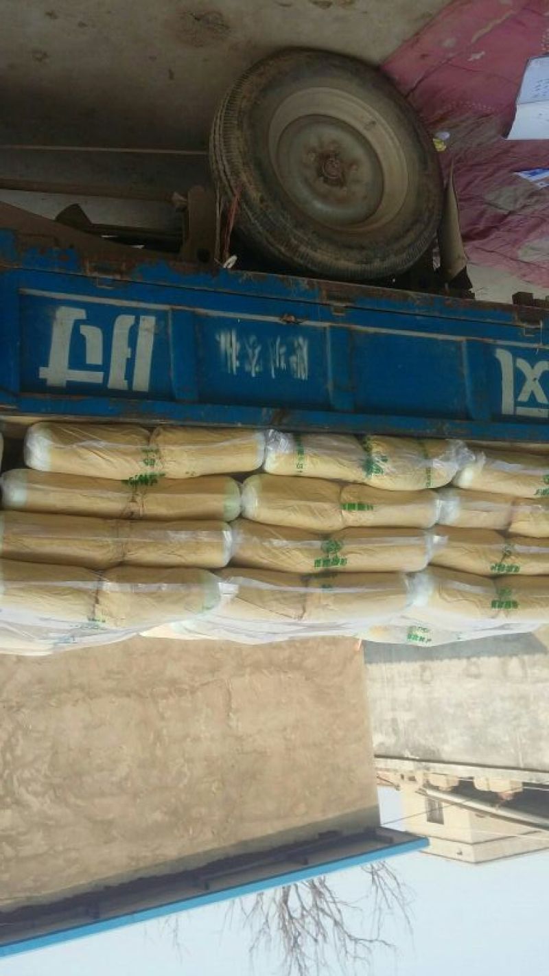 山东白菜，北京新三号白菜，4~6斤净菜大量供应，欢迎致电