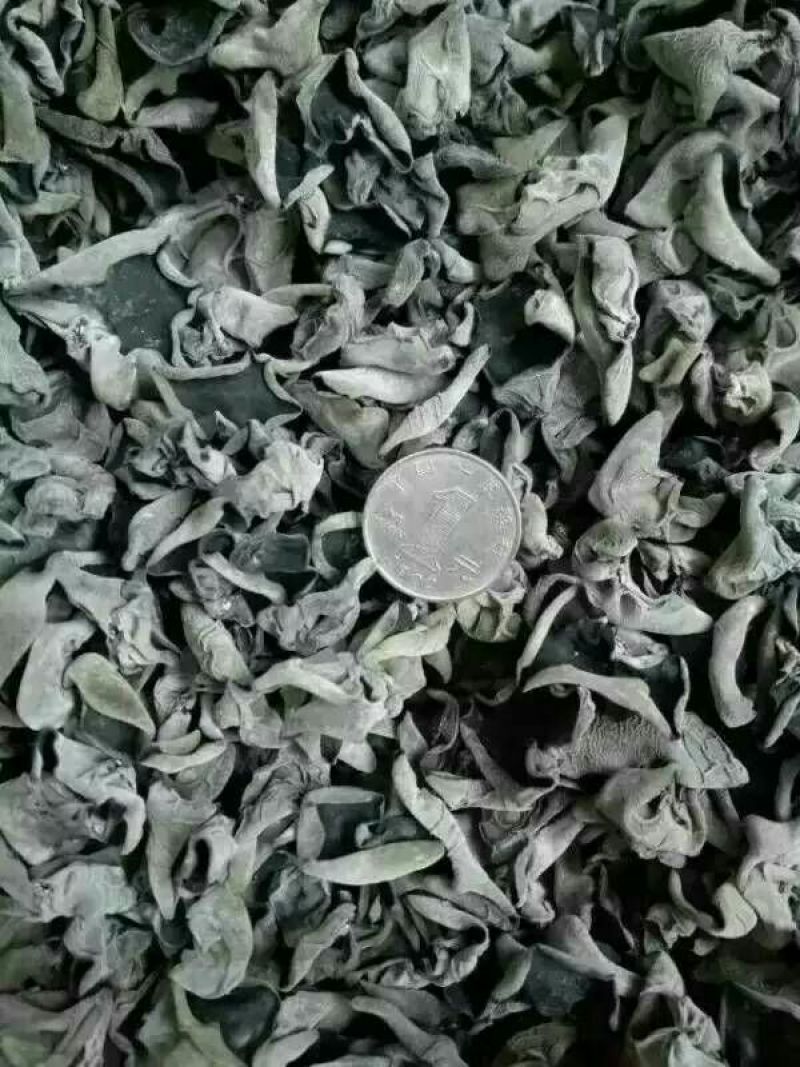 黑木耳特级