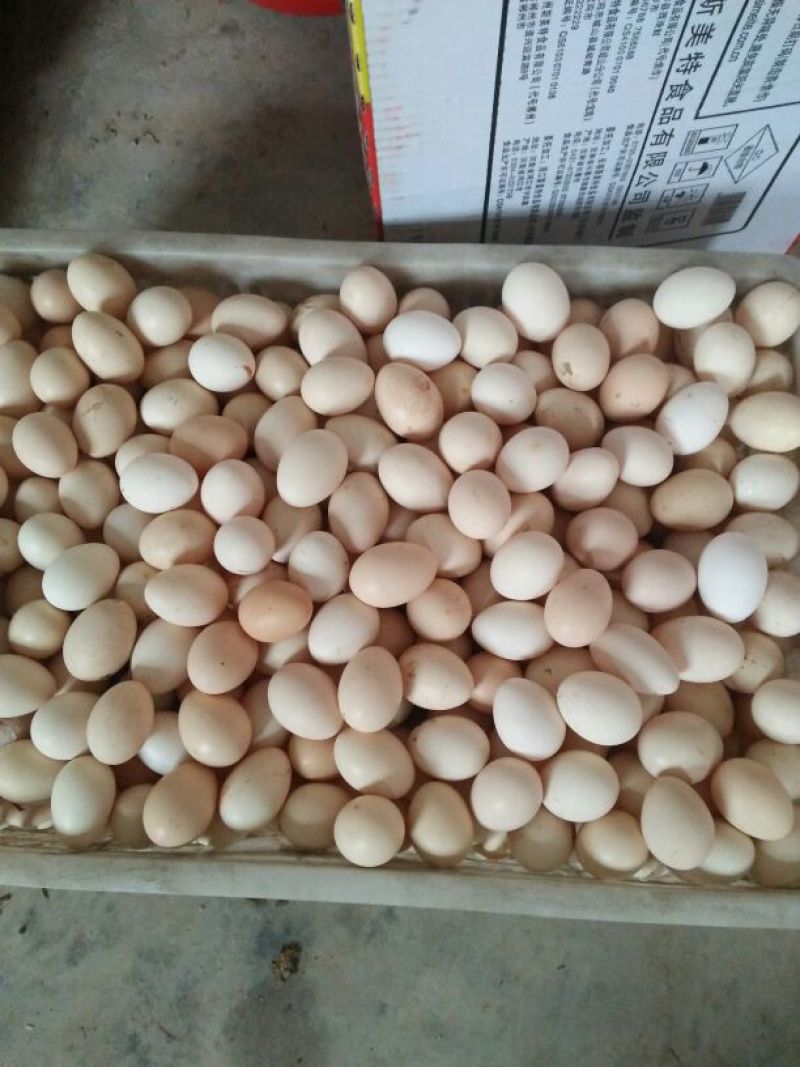 土鸡蛋食用50g以下