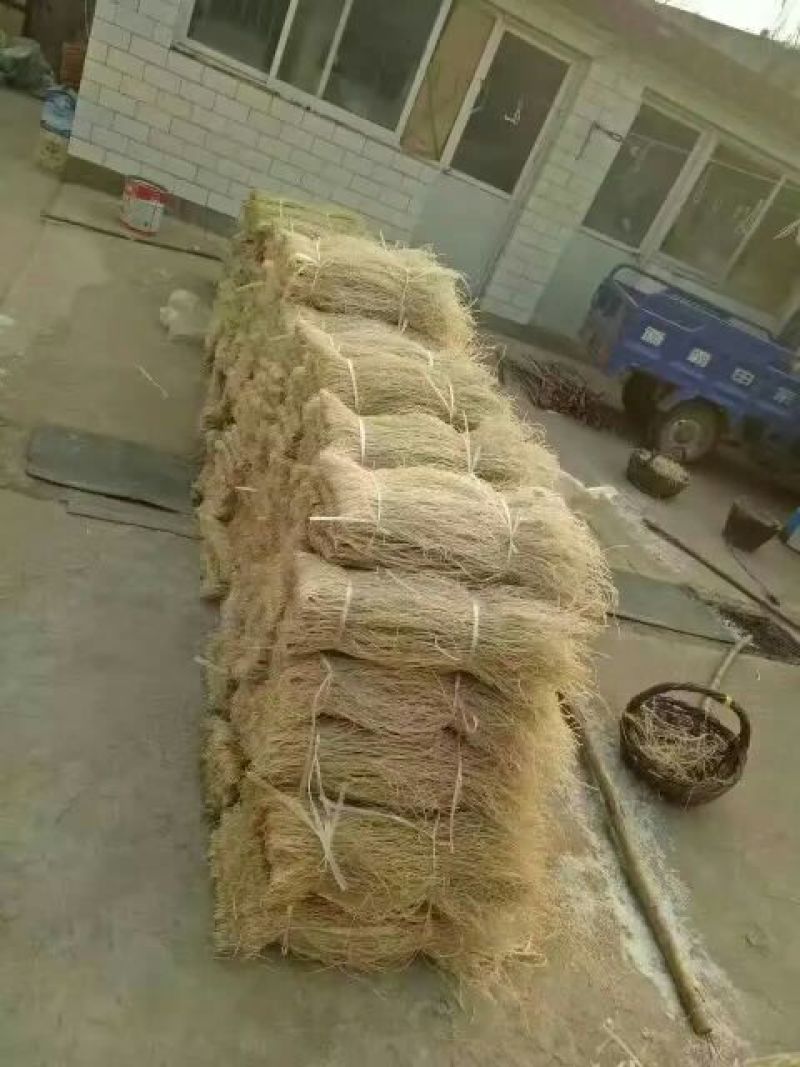 粉丝散装